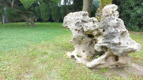 Bed & Breakfast Il Viale