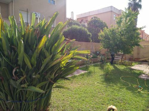 Apartamento Casa Paolina