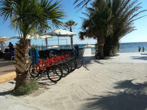 Hostal Fronte Del Lido