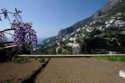Apartamento Amalfi Natura