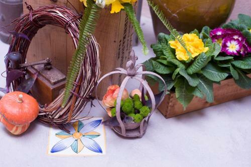 Bed & Breakfast La Valle Delle Ferriere
