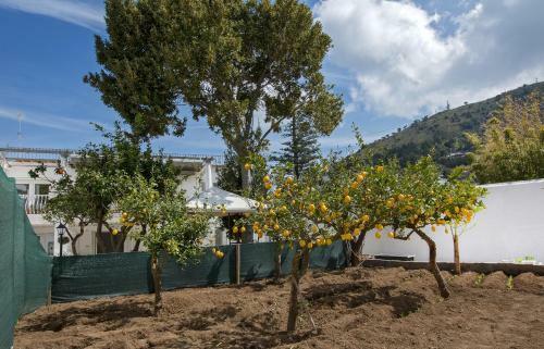 Hostal La Limonaia Capri