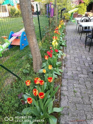 Agroturismo Country House "l'isola Che Non C'�"