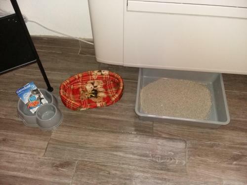Apartamento Casa Vacanze Di Andrea