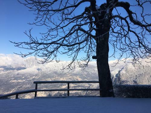 B&B Vello D'arco - Quota 1.000 Mt