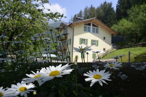 B&B Vello D'arco - Quota 1.000 Mt