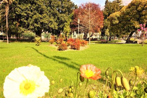 Apartament S.anna 34
