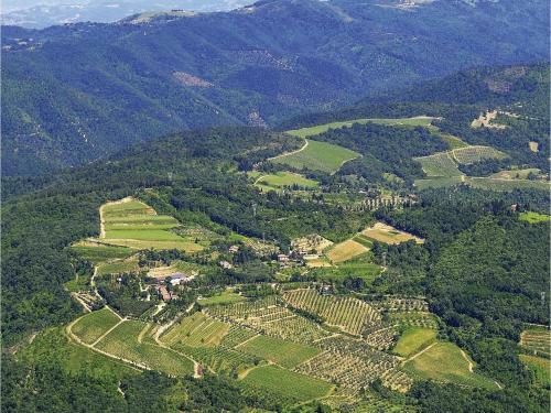 App. Il Pino