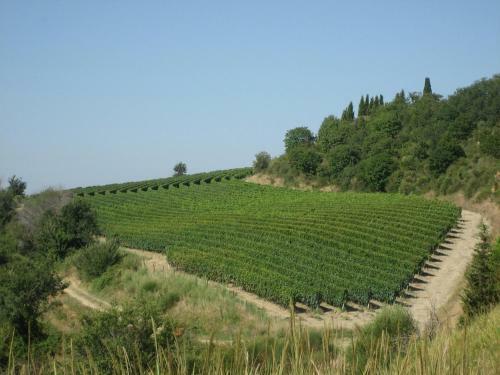 Agroturismo Agriturismo Mocine