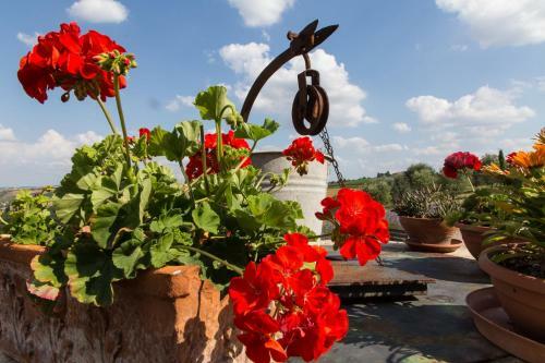 Agroturismo Agriturismo Mocine