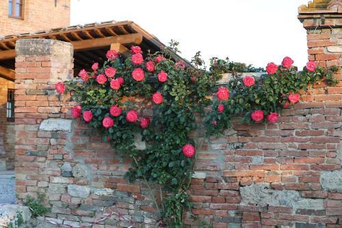 Agroturismo Agriturismo Mocine