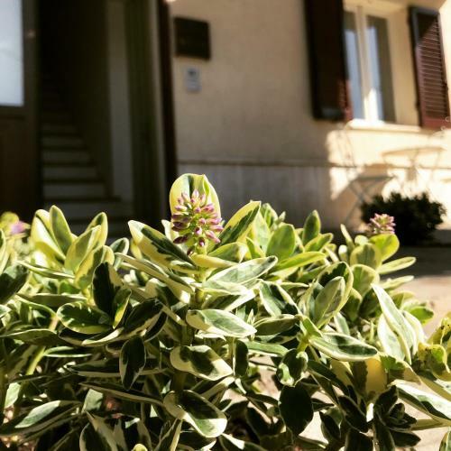 Hostal Le Campane Di Assisi