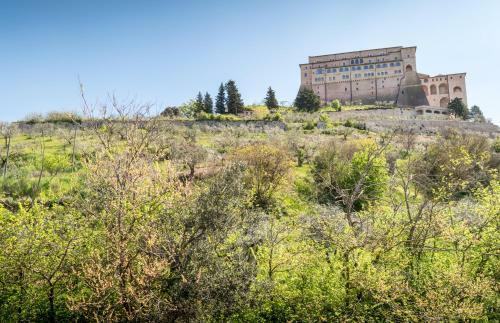 Bed & Breakfast La Piaggia