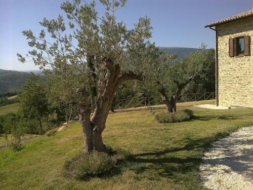 Agroturismo Agriturismo Paradiso 44