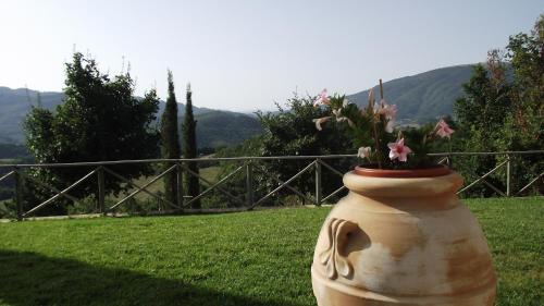 Agroturismo Agriturismo Paradiso 44