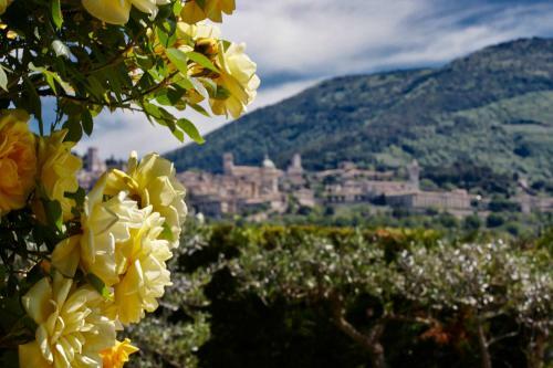Agroturismo Il Roseto