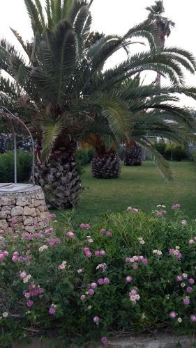 Villa Donata (tra Avola E Noto)