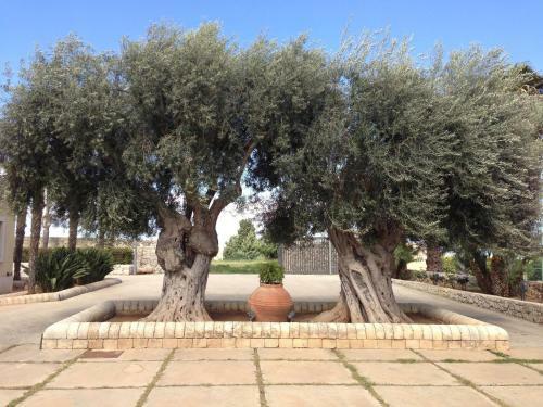 Agroturismo Castello Crisilio