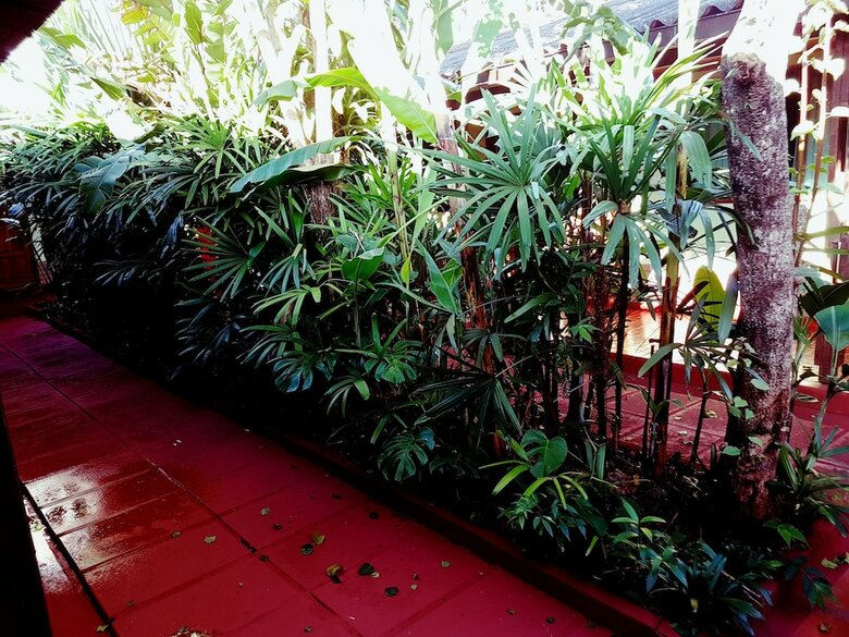 Hotel Hosteria Los Helechos