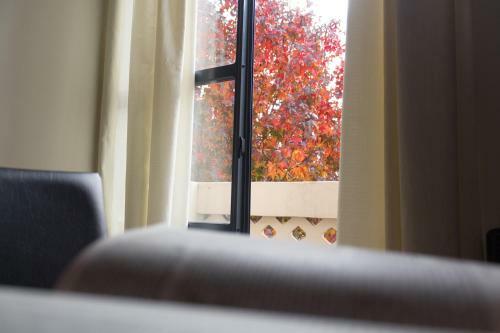 Hotel Rosario Suites