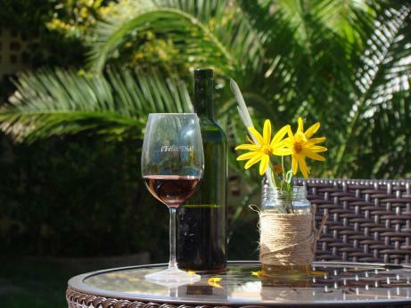 Hotel Aires Andinos