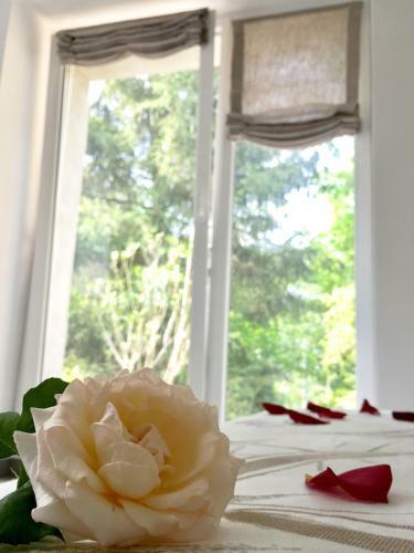 Bed & Breakfast Secret Gardens