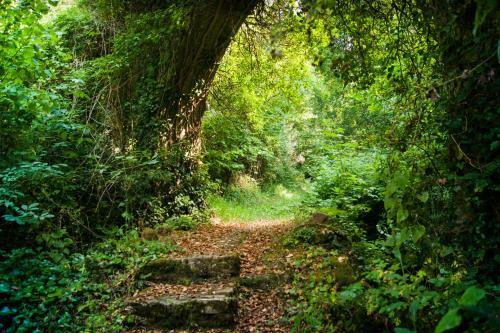 Bed & Breakfast Secret Gardens