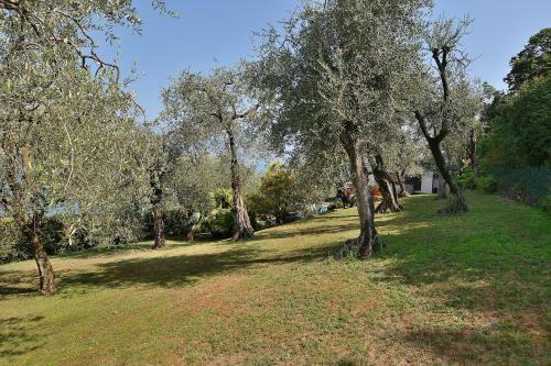 Villa Dismero