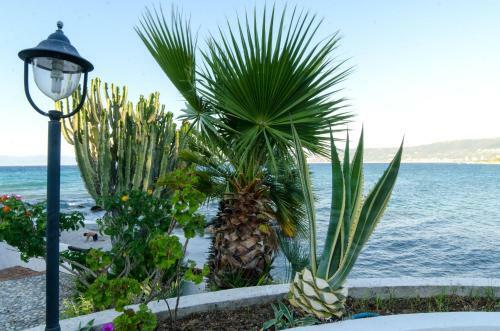 Apartamento Residence Albatros