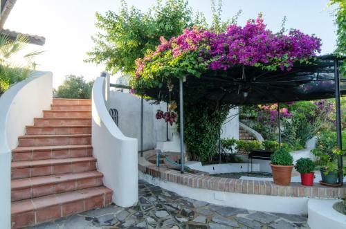Apartamento Residence Albatros