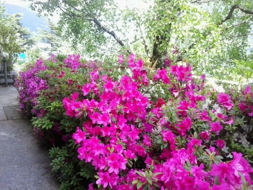 Apartamento Brienno Miralago