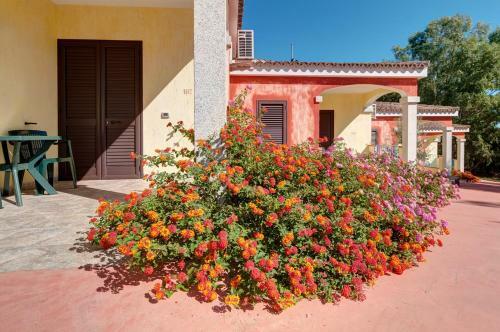 Hotel Pedra Niedda