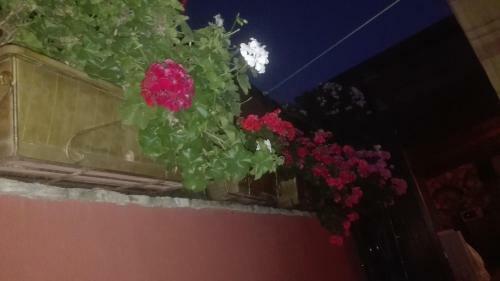 Bed & Breakfast Appartamento Siria Busith