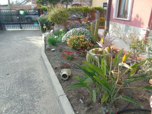 Bed & Breakfast Casa Da Pina