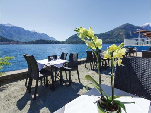 Apartamentos Apt. Luxury Britannia