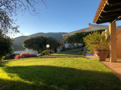Villa Medj