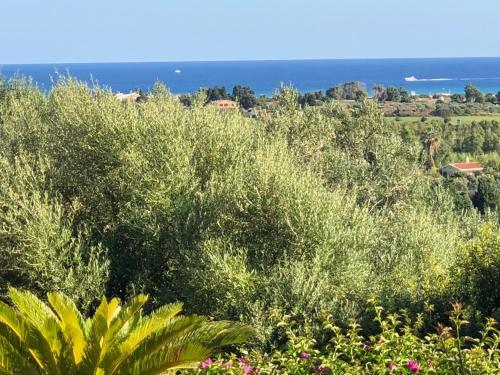 Villa Medj