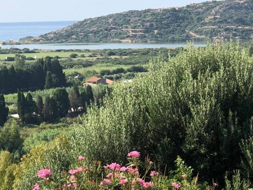 Villa Medj