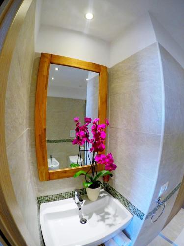 Hostal Colibr� Prestige Rooms