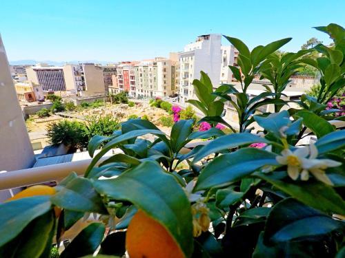 Hostal Colibr� Prestige Rooms