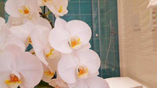 Hostal Colibr� Prestige Rooms
