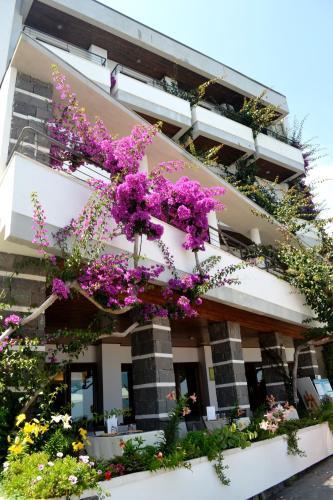 Hotel Cala Luna
