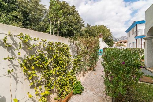 Apartment In Cala Gonone 34547