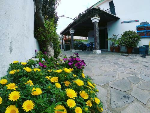 Apartamento Villino Marrakech