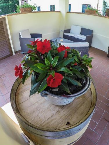 Apartamento Casale La Fata