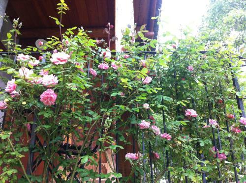 Bed & Breakfast Ca Dal Cros