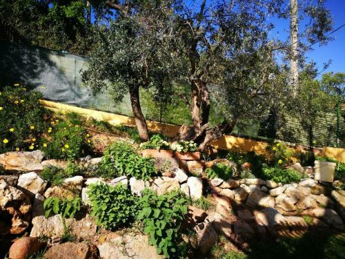 Apartment In Campiglia Marittima 30342