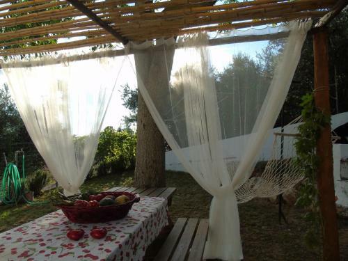 Apartment In Campiglia Marittima 30342