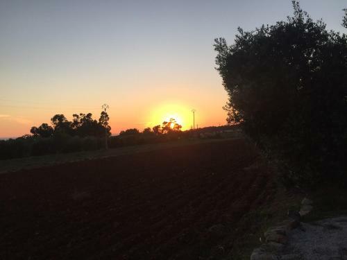Apartment In Campiglia Marittima 30342