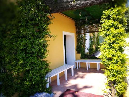 Apartment In Campiglia Marittima 30342